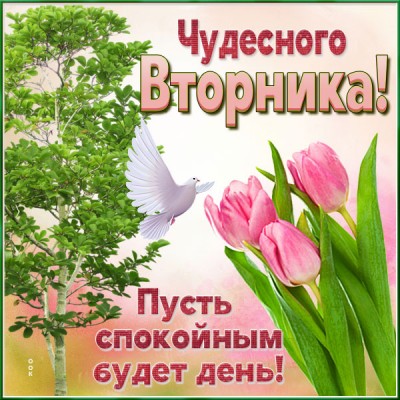 Картинка картинка с вторником с красивыми словами