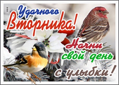 Открытка картинка с зимним вторником