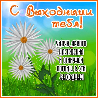 Картинка картинка самых лучших выходных