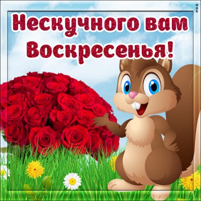 Открытка картинка счастливого воскресенья