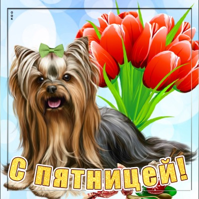 Картинка картинка счастливой пятницы