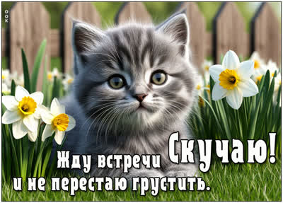 Picture картинка скучаю и жду встречи