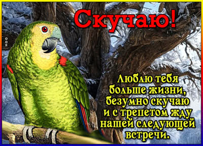 Postcard картинка скучаю, надеюсь, скоро встретимся!