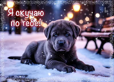 Postcard картинка скучаю по тебе безумно