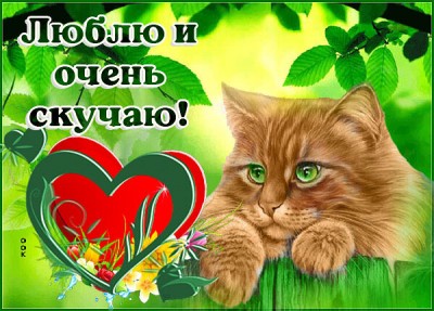 Открытка картинка скучаю с котиком