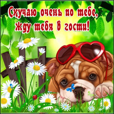 Открытка картинка скучаю с собачкой