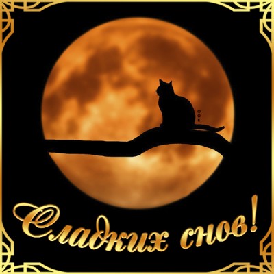 Картинка картинка сладких снов