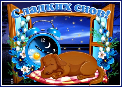 Картинка картинка сладких снов с синими цветами