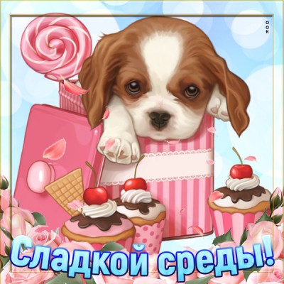 Картинка картинка сладкой среды