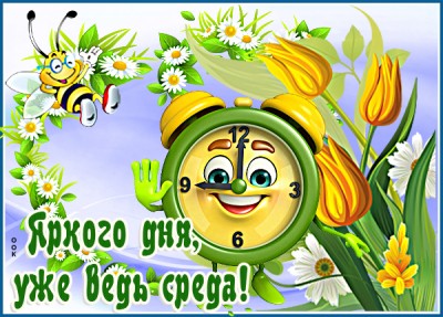Картинка картинка солнечной среды