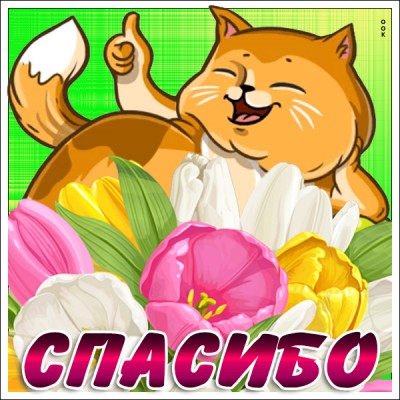 Картинка картинка спасибо большое