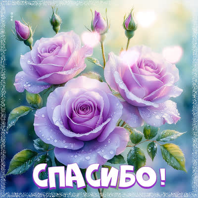 Postcard картинка спасибо от всего сердца