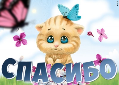 Открытка картинка спасибо с котиком
