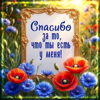 Picture картинка спасибо за, что ты есть у меня