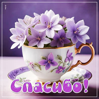 Picture картинка спасибо за помощь и внимание