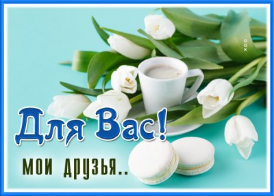 Открытка картинка спасибо за верную дружбу