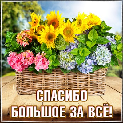 Открытка картинка спасибо за все