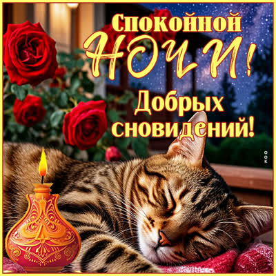 Picture картинка спокойной ночи, добрых сновидений