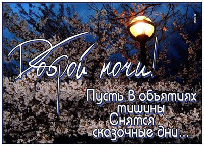 Picture картинка спокойной ночи и сладких снов до самого утра