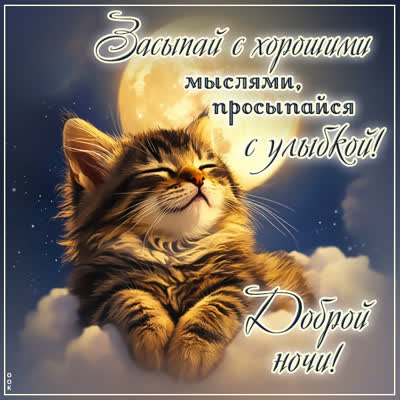 Картинки Спокойной Ночи