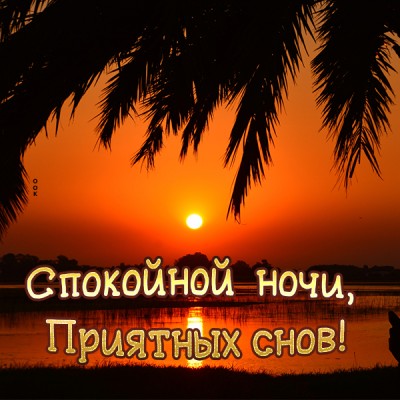 Открытка картинка спокойной ночи и приятных снов