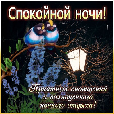 Открытка картинка спокойной ночи на каждый день