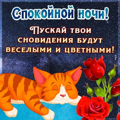 Картинка картинка спокойной ночи с кошечкой