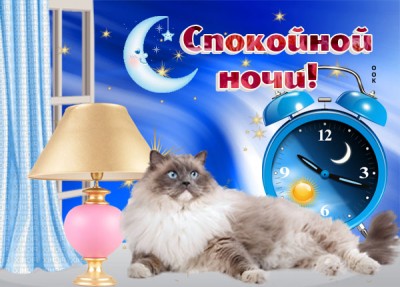 Открытка картинка спокойной ночи с котиком