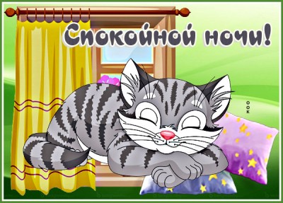 Картинка картинка спокойной ночи с котом