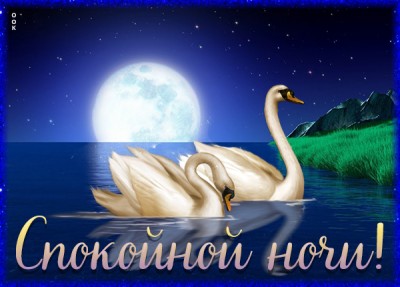 Открытка картинка спокойной ночи с лебедями