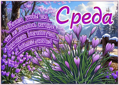 Postcard картинка среда, половина недели позади