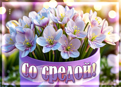 Postcard картинка среда, пусть этот день принесёт успех и радость