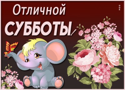 Картинка картинка  суббота с цветами