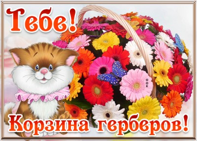 Картинка картинка тебе корзина цветов с герберами