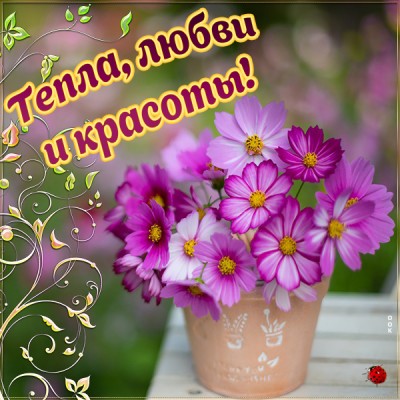 Открытка картинка тепла, любви и красоты