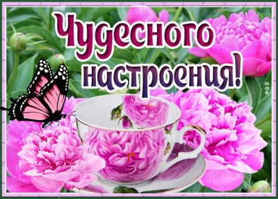 Картинка картинка цветочного настроения