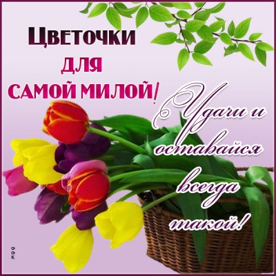 Открытка картинка цветы, чтоб улыбнулась ты
