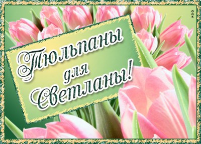 Картинка картинка тюльпаны для светланы