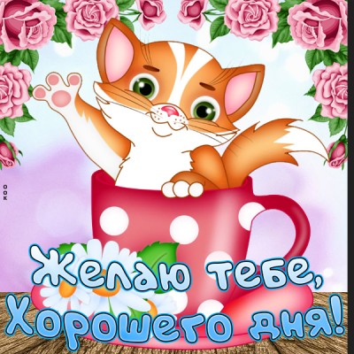 Картинка картинка удачного дня