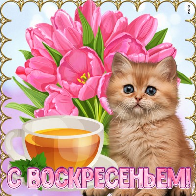 Открытка картинка удачного воскресенья