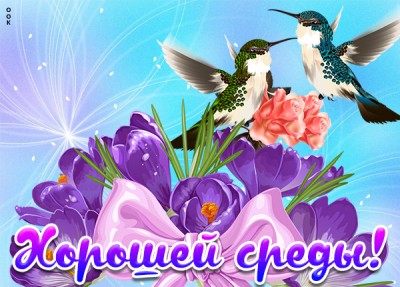 Открытка картинка удачной среды
