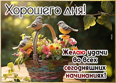 Postcard картинка удачи во всех начинаниях и чудного дня