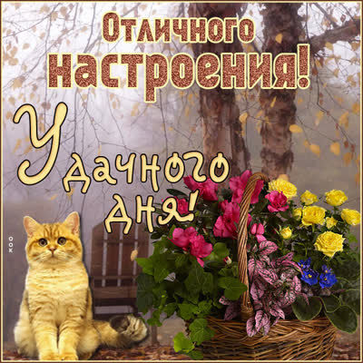Picture картинка удачного дня !