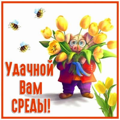 Postcard картинка удачной среды