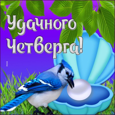 Открытка картинка успешного четверга