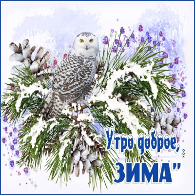 Открытка картинка утро доброе,  зима