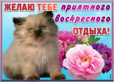 Картинка картинка уютного воскресенья