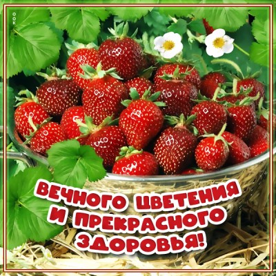 Открытка картинка вечного цветения