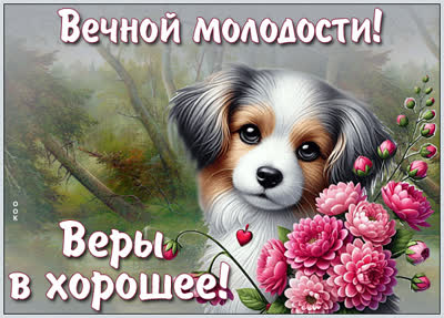 Postcard картинка вечной молодости и веры в хорошее