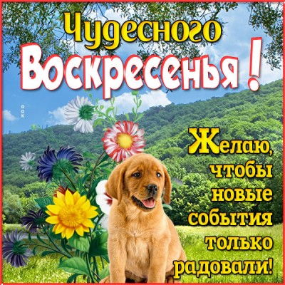 Картинка картинка веселого воскресенья